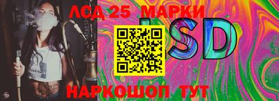 гашик Лесосибирск