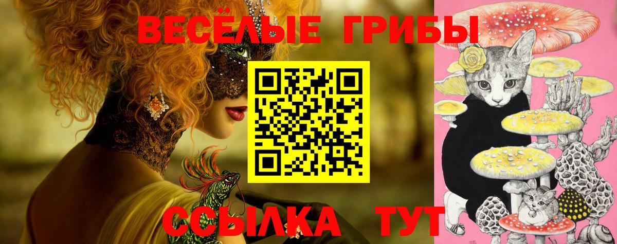 Галлюциногенные грибы Cubensis Ивантеевка