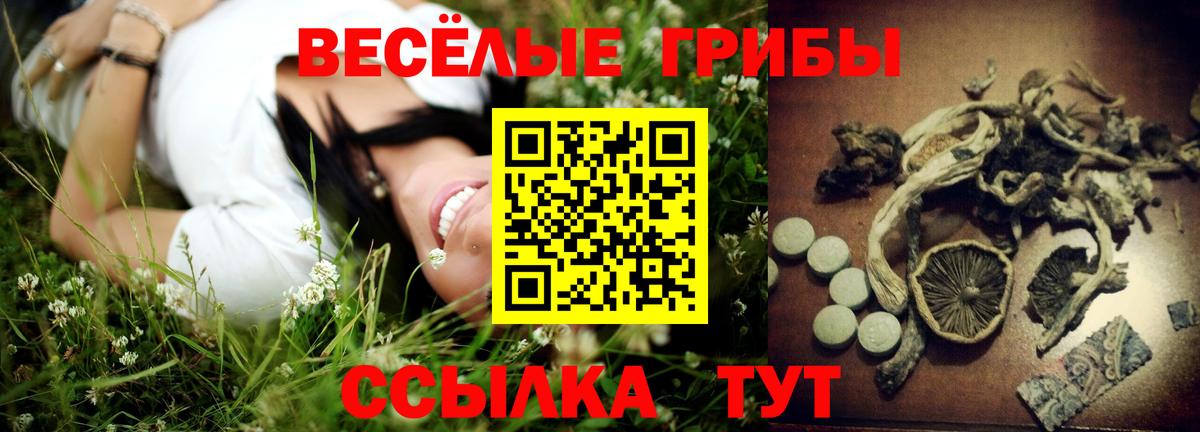 Псилоцибиновые грибы ЛСД  где купить наркотик  Вход с VPN  Ивантеевка  Галлюциногенные грибы ЛСД 